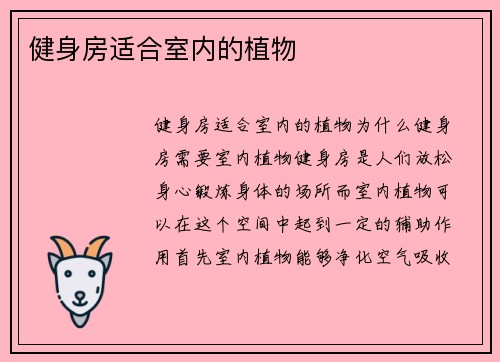 健身房适合室内的植物
